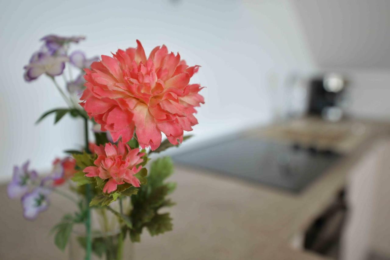 Apartmani Mikin Betina  Eksteriør bilde